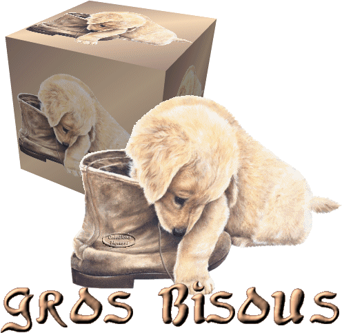 bbbbbbbbbbbiiiiiiiissssssouuuuuuuuuussssssssss